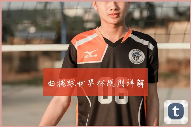 曲棍球世界杯规则详解