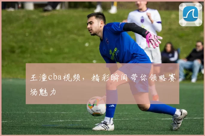 王潼cba视频，精彩瞬间带你领略赛场魅力