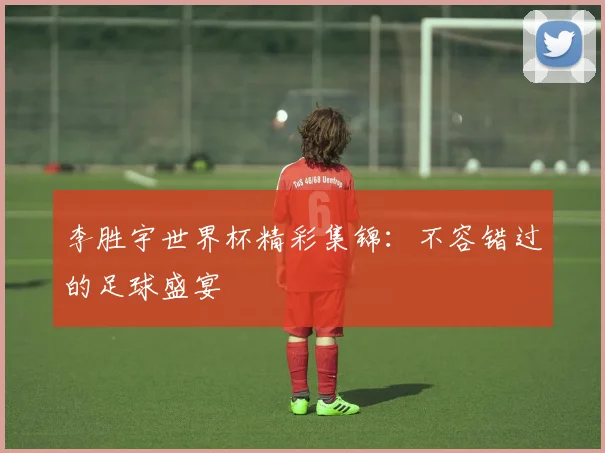 李胜宇世界杯精彩集锦:不容错过的足球盛宴